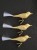1000127586.png