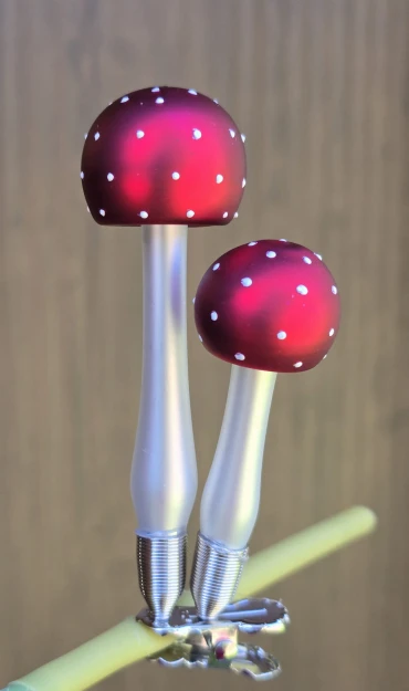 1000154725.jpg