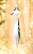 1000233093.png