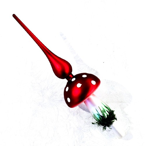 1000127546.png