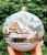 1000183693.jpg