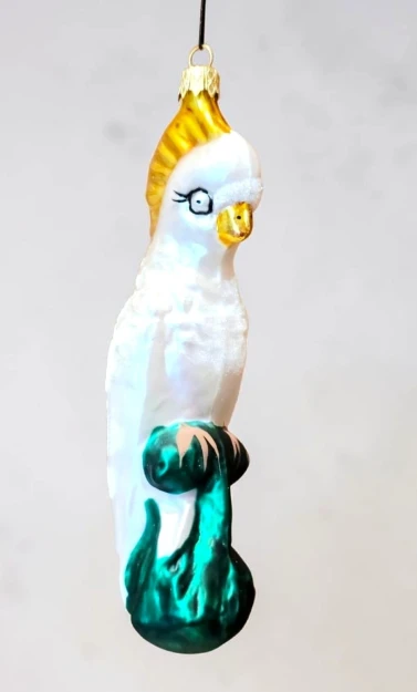 1000156252.jpg