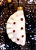 1000288869.png
