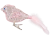 1000293412.png