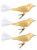 1000293422.png