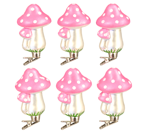 1000293424.png